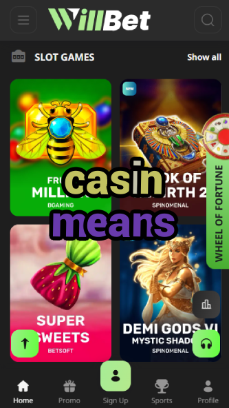 Casin Means - Understanding Casino Terminology-7spincasino.ydblkf.net